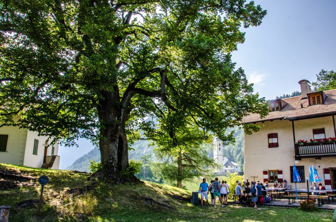 Gasthaus zur Kirche mit alter Linde