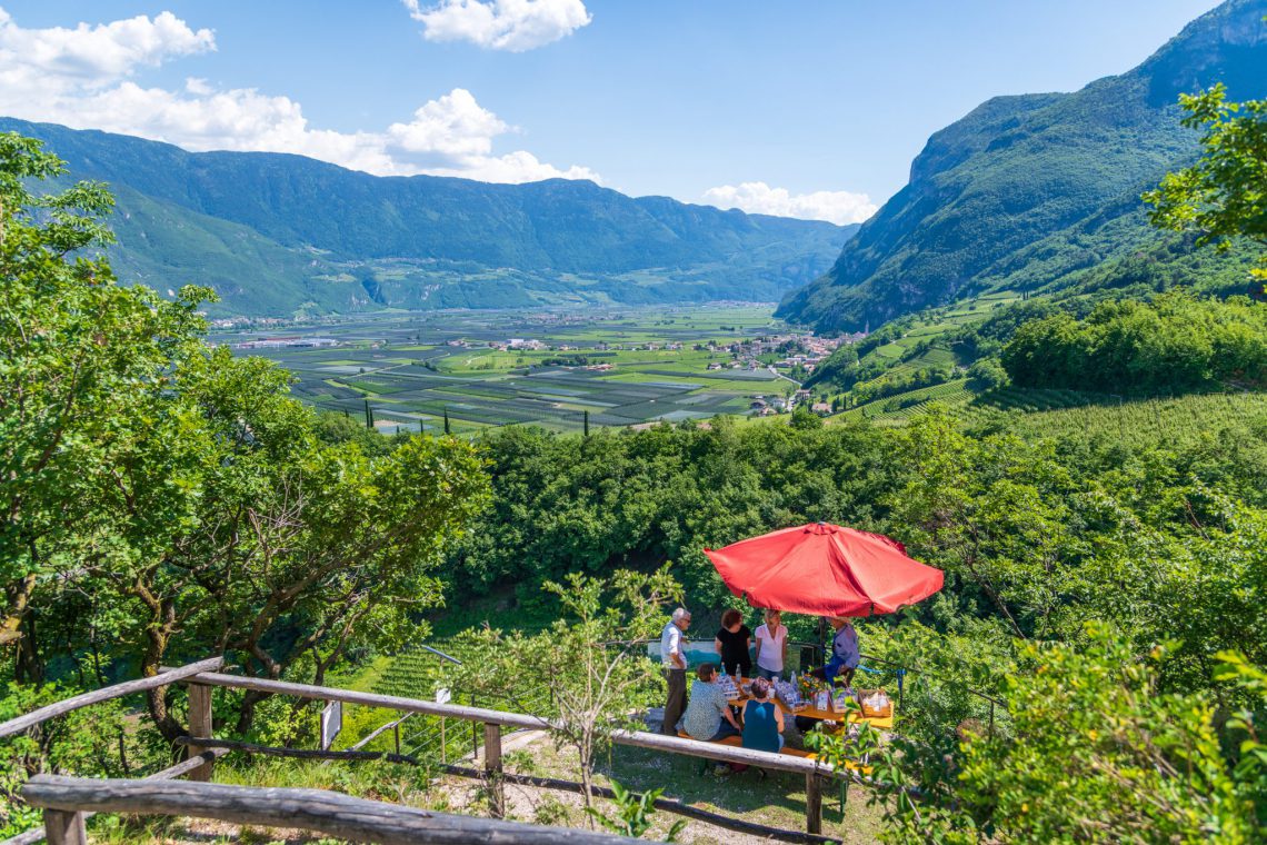 Am Weinlehrpfad mit Blick auf Margreid