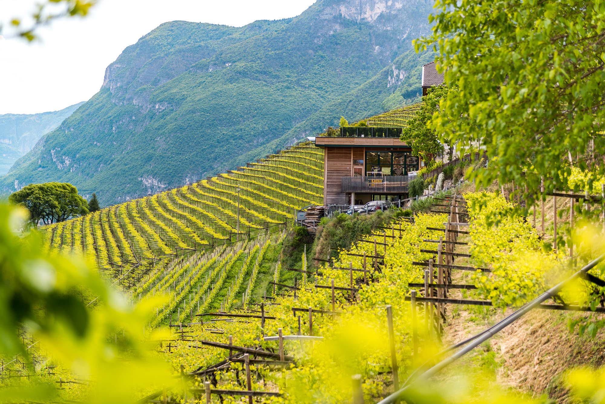 Kurtatsch Tourismusverein Südtiroler Unterland
