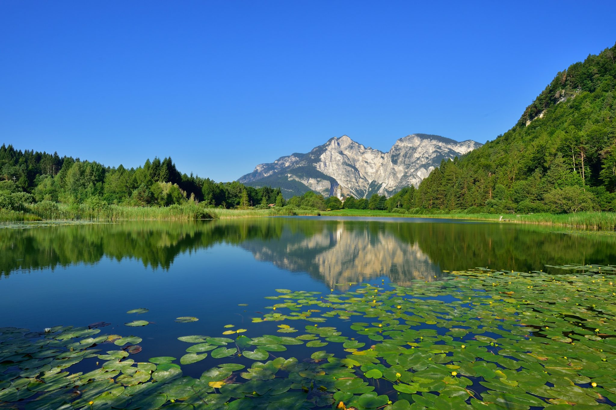 Fennersee mit Seerosen